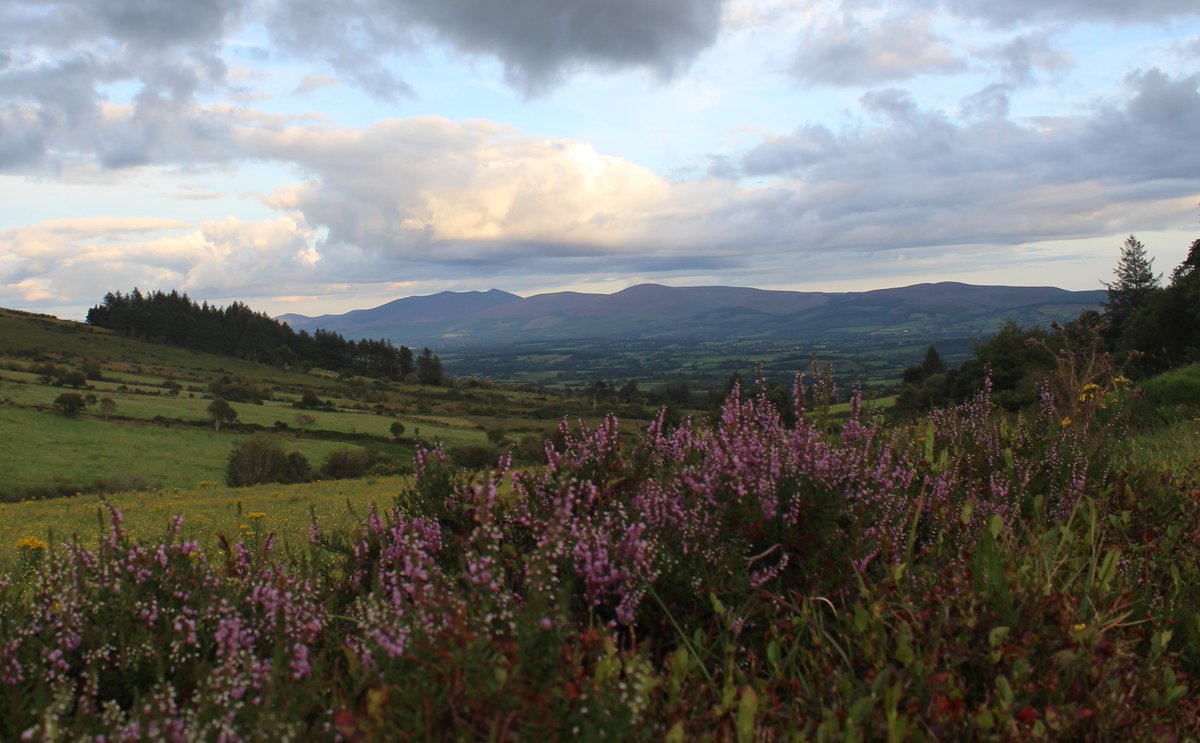 Across a Tipperary vale. #Munstervales #visittipperary #hillwalking #mountains