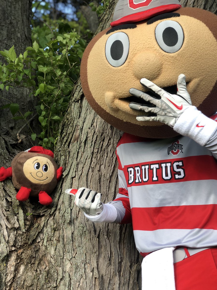 Brutus_Buckeye's tweet photo. Happy #FathersDay to all the Buckeye Dads out there ... including me? 😯
#GoBucks https://t.co/ASPks0Zplu