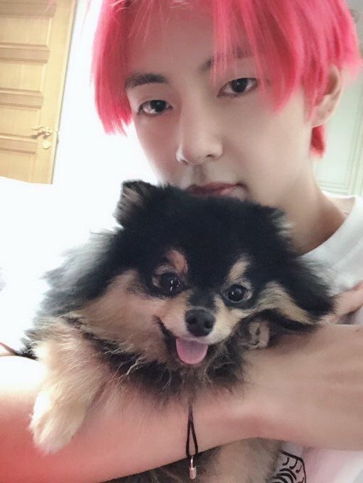 Yeontan used to get all sulky if he didn't see Taehyung for 2 days so tae used to spend all his time spoiling and loving him unconditionally