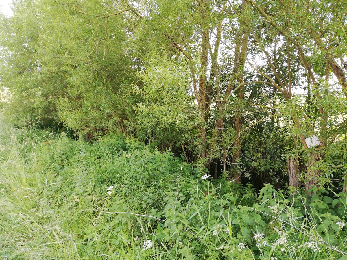 RaHaake's tweet photo. Im Gegensatz zu #Tönnies setzt #Haake auf Bio.
Noch mehr #Salz fürs #Wild. https://t.co/uwKxSHYcm1