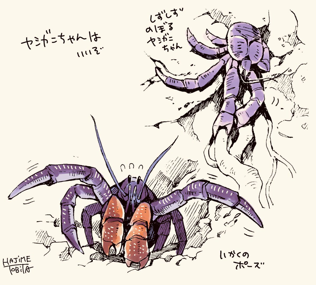 鳶田ハジメ 8 2絵本がでたよ 沖縄のいろいろを見直していて久々に描いたヤシガニ T Co Mhtsaihzlb Twitter