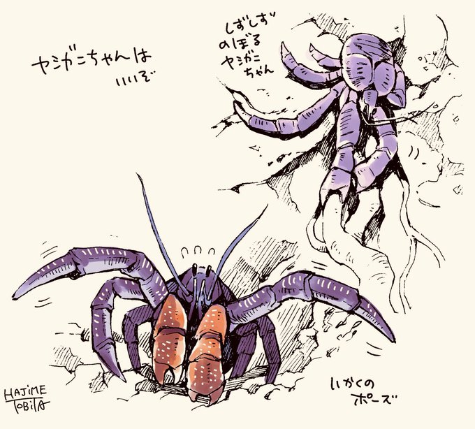 ヤシガニのtwitterイラスト検索結果 古い順 ヤシガニのtwitterイラスト検索結果 古い順