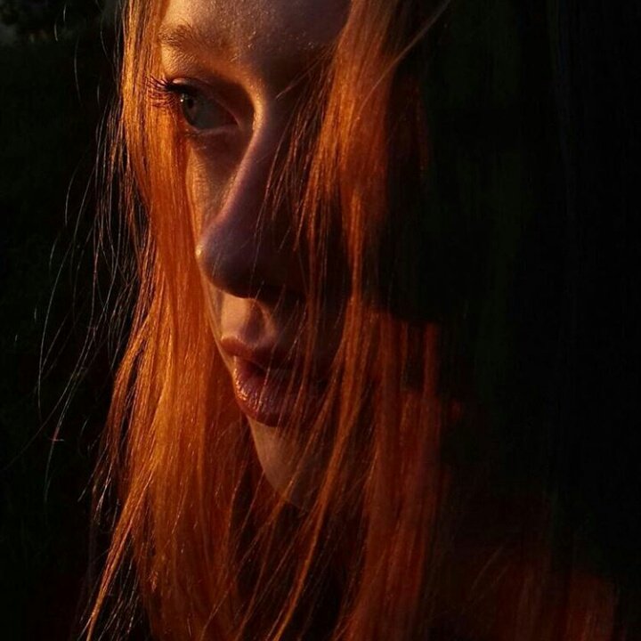 still not over how beautiful these are