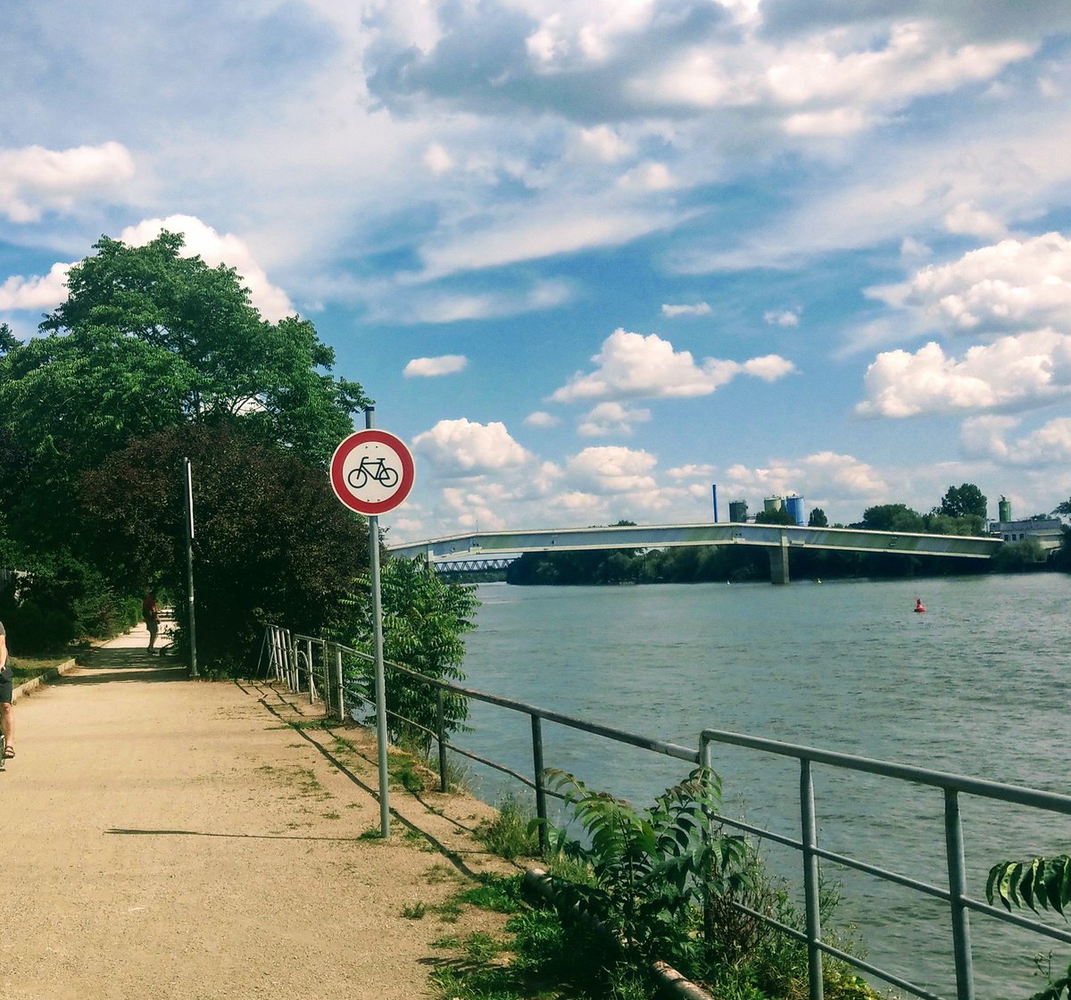 heimann_zerner's tweet photo. Seit wann steht denn diese Schild hier? Soll man jetzt auf dem Betonmischer-Zubringer von #Dyckerhoff fahren anstatt direkt am #Rhein, @Stadt_Wiesbaden? 😳
Gehört das noch zu Eurer #Radoffensive oder schon zur #Verkehrswende? In jedem Falle #Fahrradalltag in #Wiesbaden https://t.co/rB34PwteUj