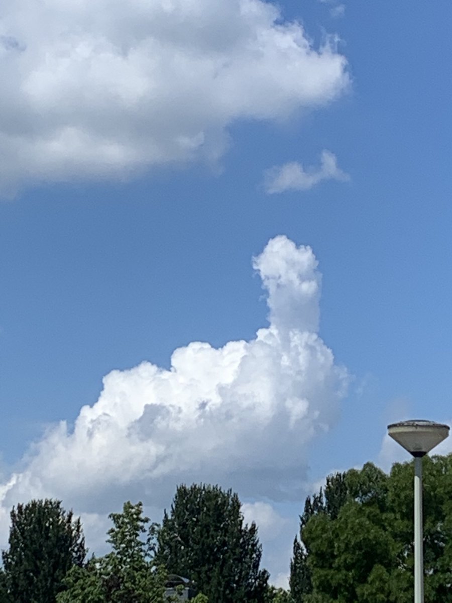 Wat zou die wolk bedoelen ? Een vliegtuig te dicht bij gekomen ?? ⁦<a href="/helgavanleur/">Helga van Leur ☀</a>⁩ , komt die voor in jullie boek ?
