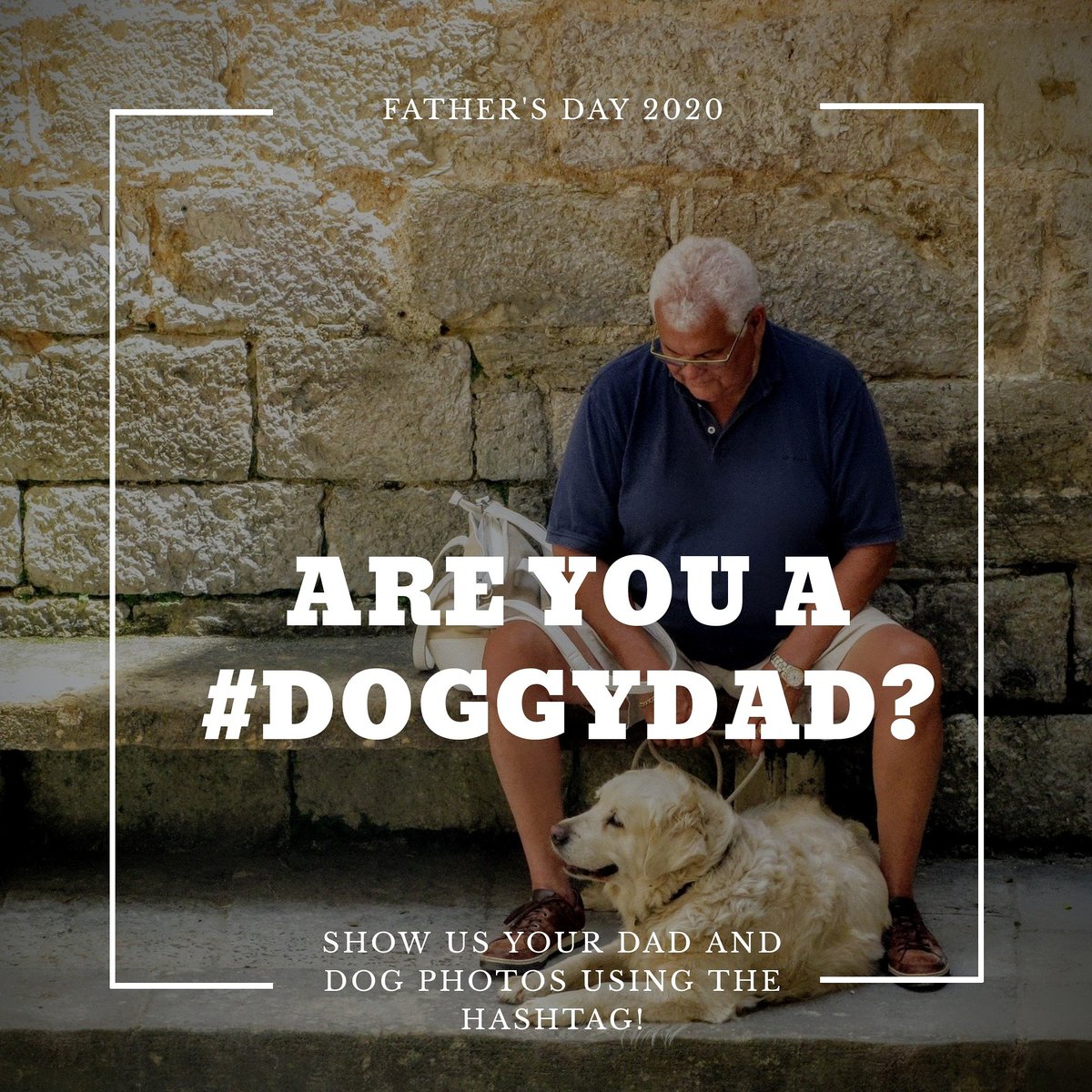 DogTrainingAndy's tweet photo. There are all kinds of Dad in the world.
We'd love to hear about all the dog dads. Don't forget the hashtag

#doggydaddy #dogs #celebrate #dadsanddogs #fathersday #dad101 #fathersday2020 #isféidirlinn #yeswecan #donegal #finnvalley https://t.co/vheaCfnUuU