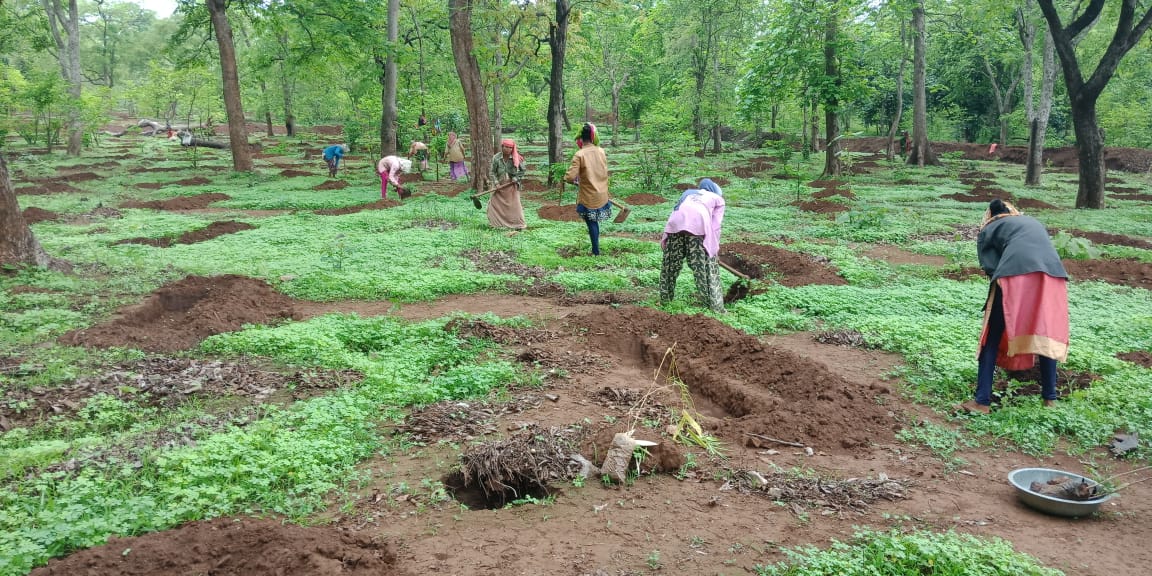 Nitin Varmora tweet media