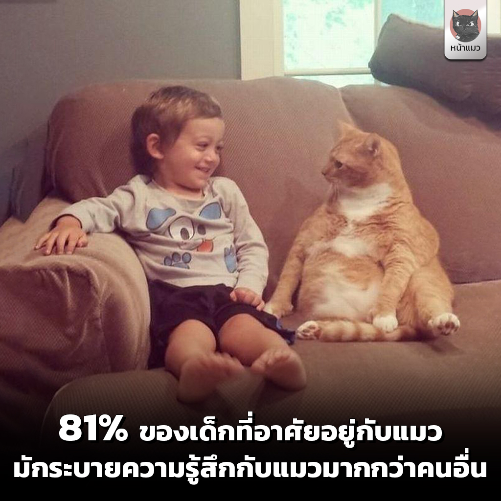 nhamaew's tweet photo. จากการศึกษาพบว่า 81% ของเด็กที่อาศัยอยู่กับแมวมักจะเก็บความรู้สึกกับแมวมากกว่าเพื่อนหรือพ่อแม่ 💘😽
ไม่ว่า แต่เด็กเลยไอ้เราก็เป็นไปได้😉
ปฏิเสธไม่ได้เลยจริง ๆ แล้วคุยกับน้องแล้วสบายใจ🤗😸
https://t.co/E0HlKreP0p #แมว #ทาสแมว #หน้าแมว https://t.co/Dj8tGrdCiT