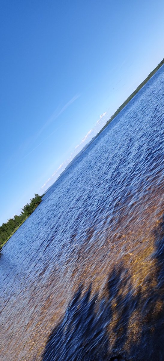 Vestimyra's tweet photo. Underbara #Svegssjön! 14° förra söndagen, idag hela 20°! #badväder https://t.co/XUexeaOreD