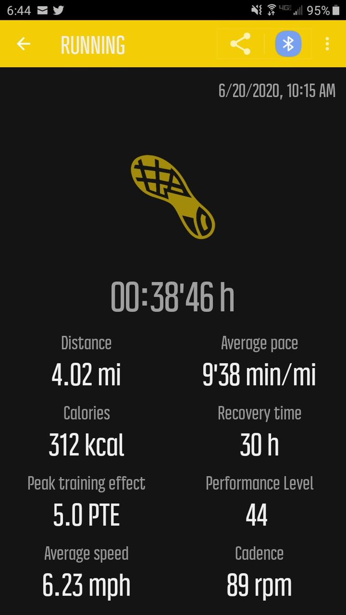 SuzanneEGuiod's tweet photo. Ran 4 hot miles through Cape Cod's cranberry bogs yesterday, completely forgetting it was the @aupresses20 virtual 5k. But here's proof! Missing the IRL camaraderie. #goingthesocialdistance #laceUP @aupresses @BucknellUPress https://t.co/ICOarlaXCK