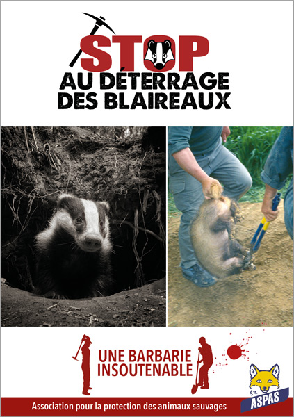 PatronStAnimals's tweet photo. 1/5 Résolument opposés au #déterrageDesBlaireaux nous avons été 848 à argumenter sur le site de #PréfecturePasdeCalais contre ce massacre, quand les #chasseurs ont été 42 (représentativité<5%)
Or le @Prefet62 leur a octroyé la période complément.!
Pétition https://t.co/AcJ9G4QeVC https://t.co/9h91ip3hH0