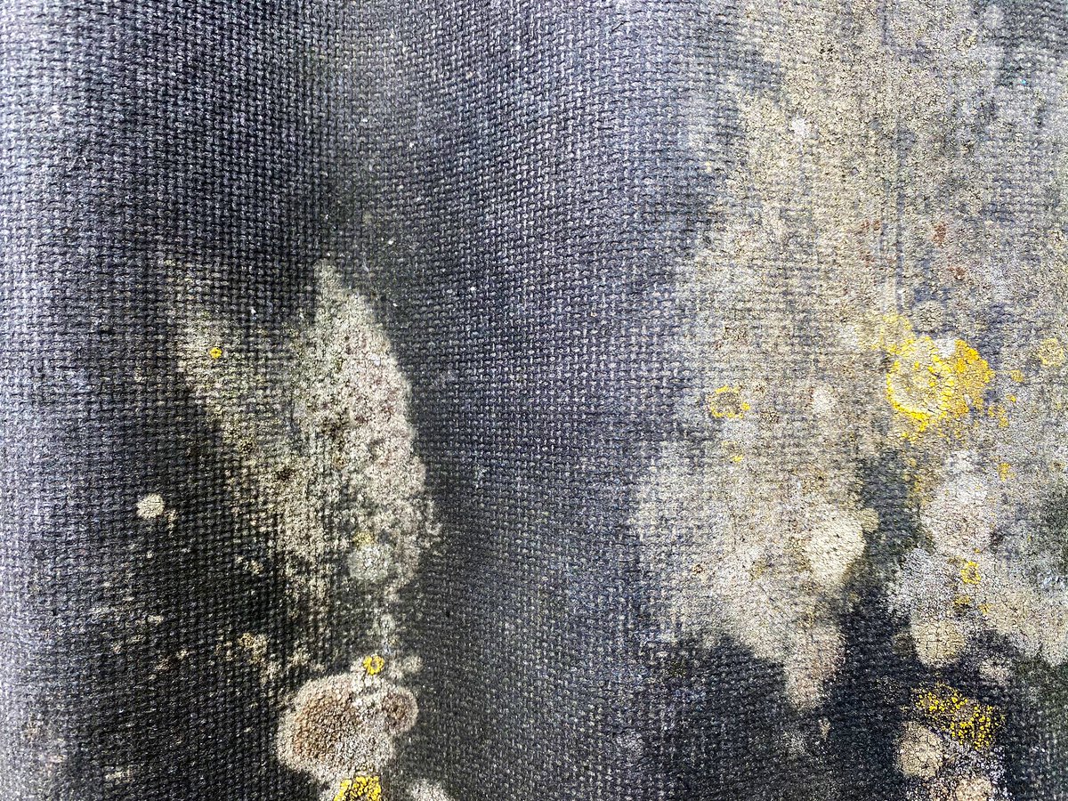 robynwoolston's tweet photo. When I collect the eggs from my chucks each morning I see this #foundlandscape ....and it reminds me of your images @maryfrancesness #henhouse #texture #abstraction https://t.co/hvl8SspiYS
