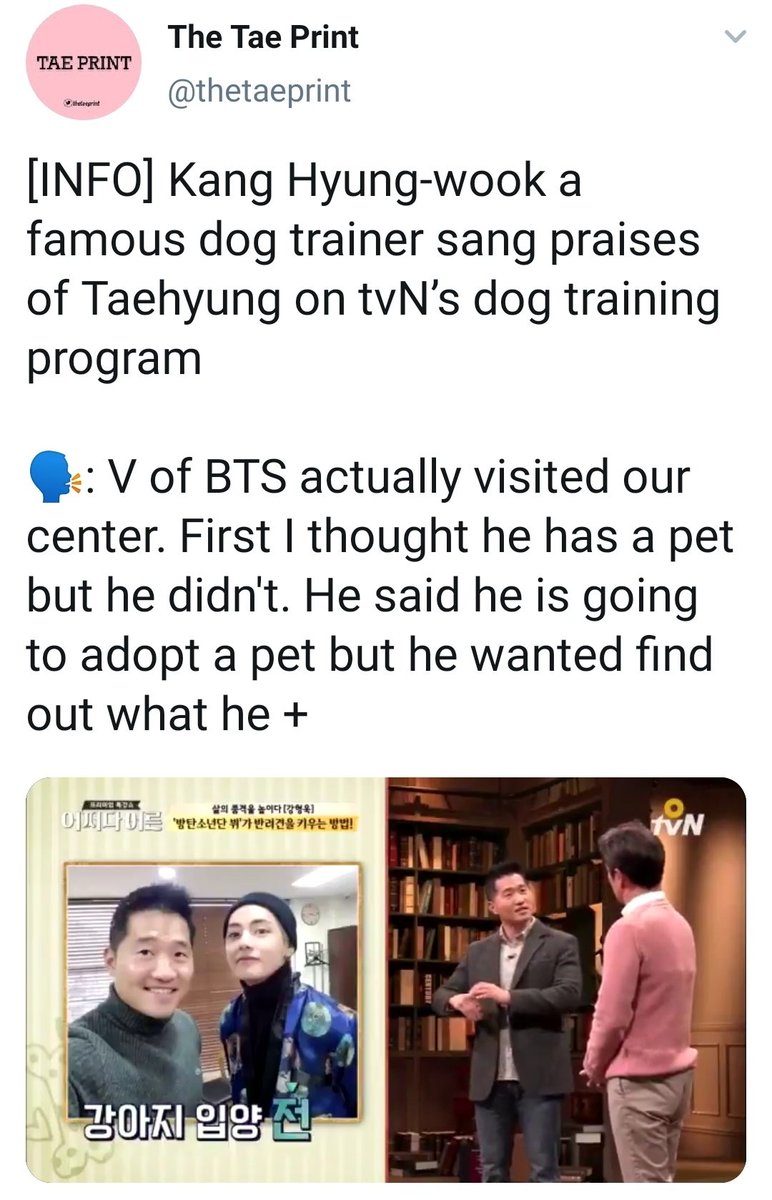 Before adopting yeontan Taehyung went to a dog trainer because he wanted to become a "good guardian" and asked him about how he could best take care of him he is so responsible and caring plss even the dog trainer was impressed,,,