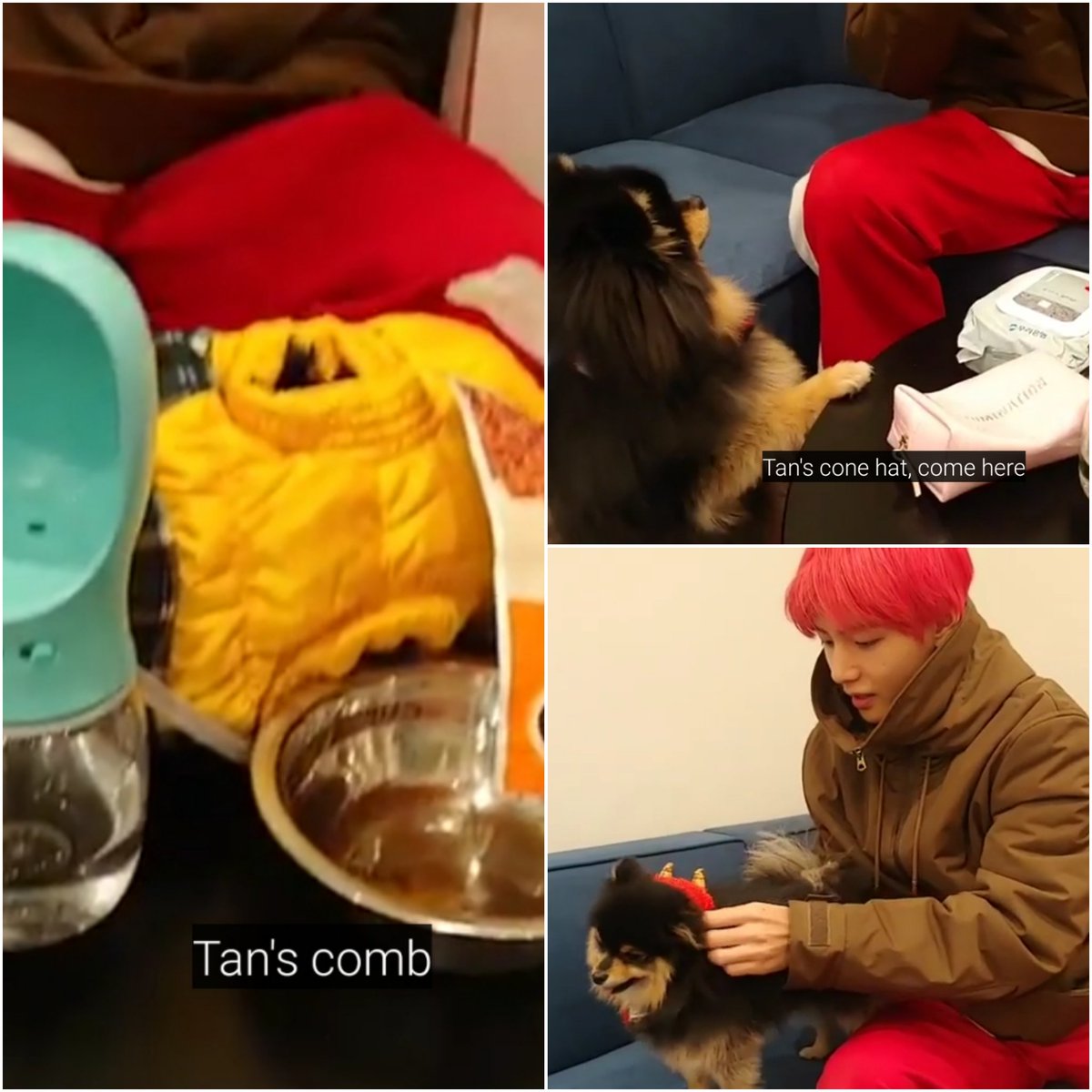 the fact that taehyung keeps a paper bag of yeontan related things... tan's plate... water bottle...snacks... toys... clothes... wet tissues... tan's cone hat is so precious!!! I just 