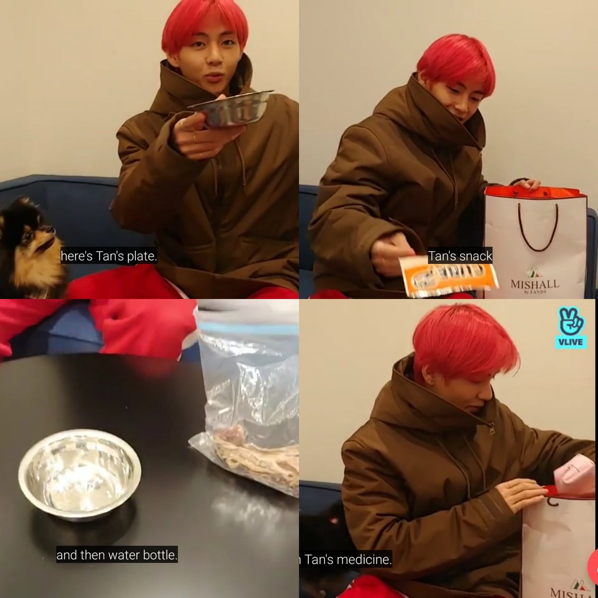 the fact that taehyung keeps a paper bag of yeontan related things... tan's plate... water bottle...snacks... toys... clothes... wet tissues... tan's cone hat is so precious!!! I just 