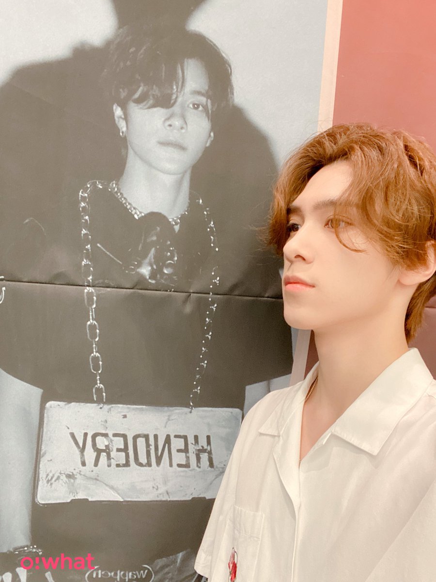 hendery as ragdolls 🐱 tweet media