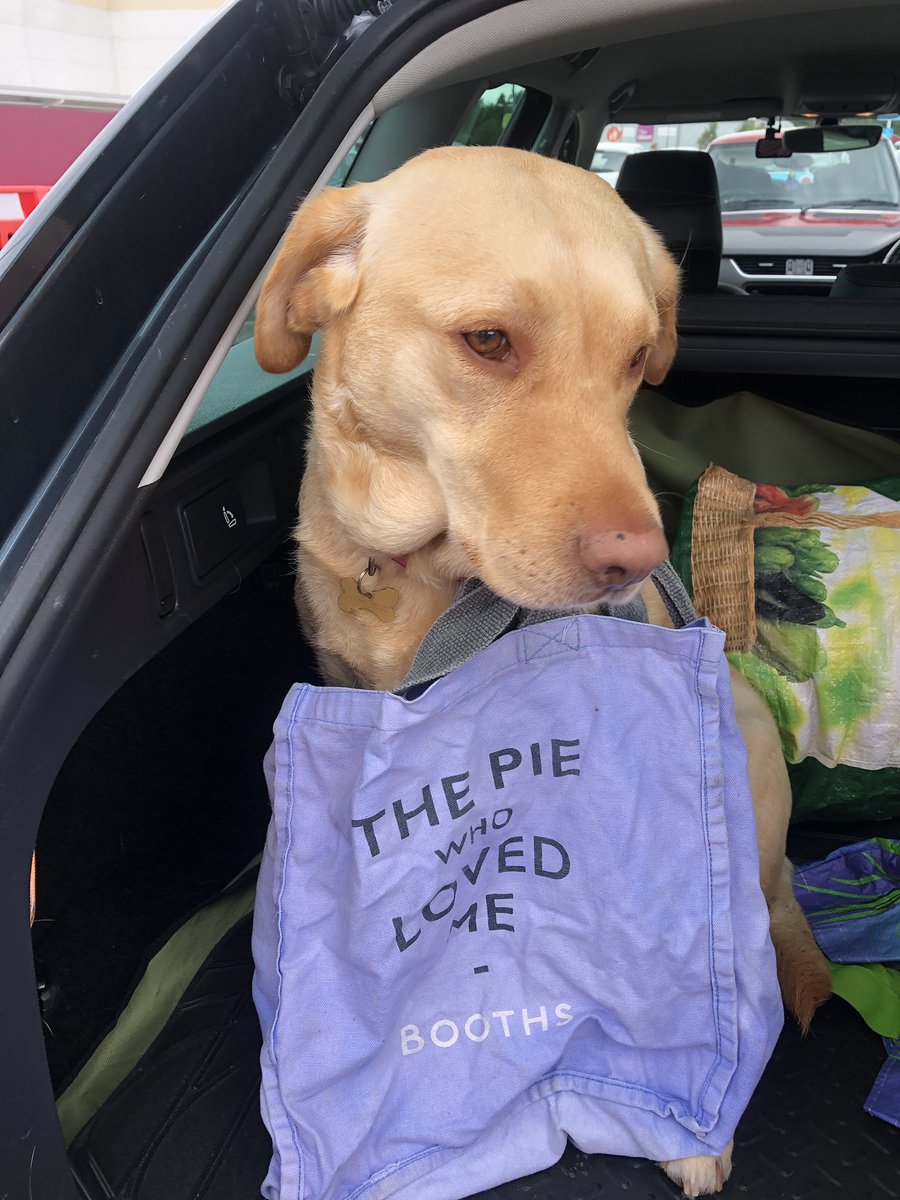 1979Yummymummy's tweet photo. @BoothsCountry my mum forgot my lead again, but it’s ok #boothstotherescue #labradorproblems #sandylab #boothsbagontour https://t.co/mns0aIEez9