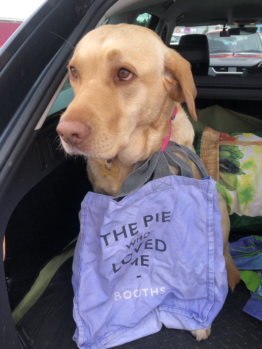 1979Yummymummy's tweet photo. @BoothsCountry my mum forgot my lead again, but it’s ok #boothstotherescue #labradorproblems #sandylab #boothsbagontour https://t.co/mns0aIEez9