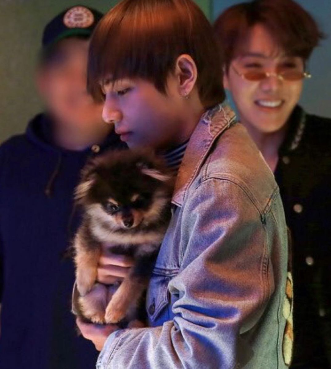 he brings tannie to bts schedules and pampers him to the max