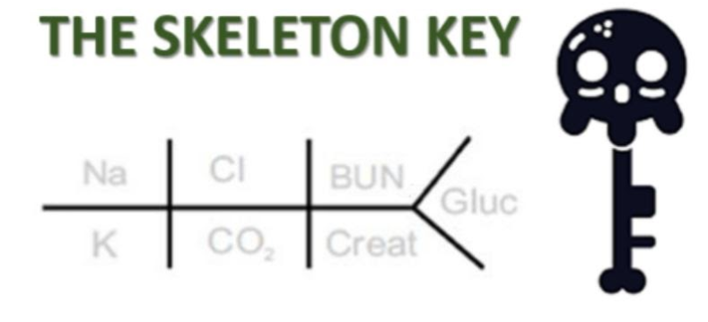 1/ Tweetorial alertHave you checked out  @TheSkeletonKG latest post on Hypophosphatemia?  https://www.renalfellow.org/2020/06/17/skeleton-key-group-electrolyte-case-9/ If you have, you must already know that hypophos is bad news @kkalra_22  @sopalilla  @TheSkeletonKG  @NSMCinternship  #tweetorial  #nephtwitter  #FOAMed