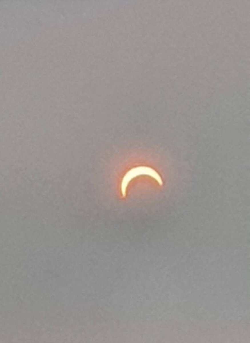 JohnsonCalos's tweet image. 