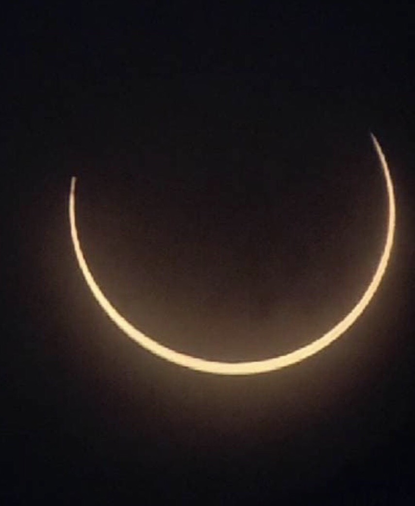 JohnsonCalos's tweet image. 