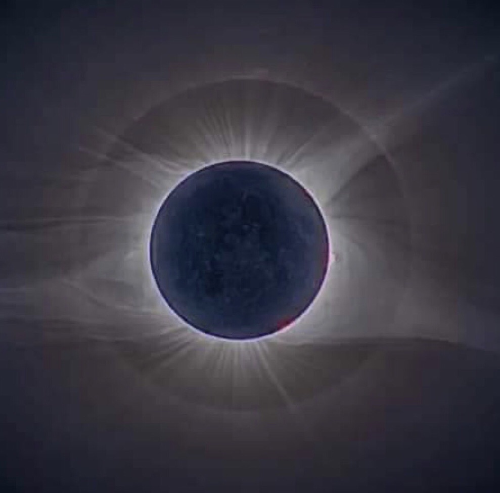 JohnsonCalos's tweet image. 