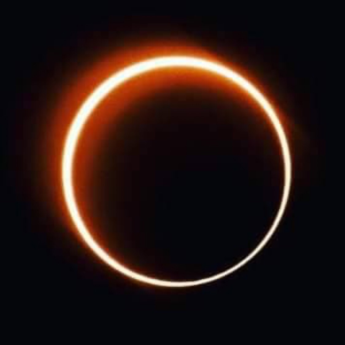 JohnsonCalos's tweet image. 