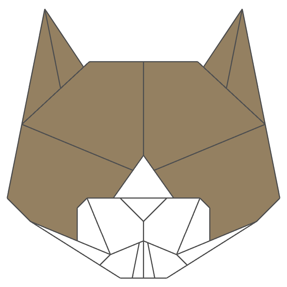 Cp Tete De Chat De Tatsumi Pliage De Papier Com