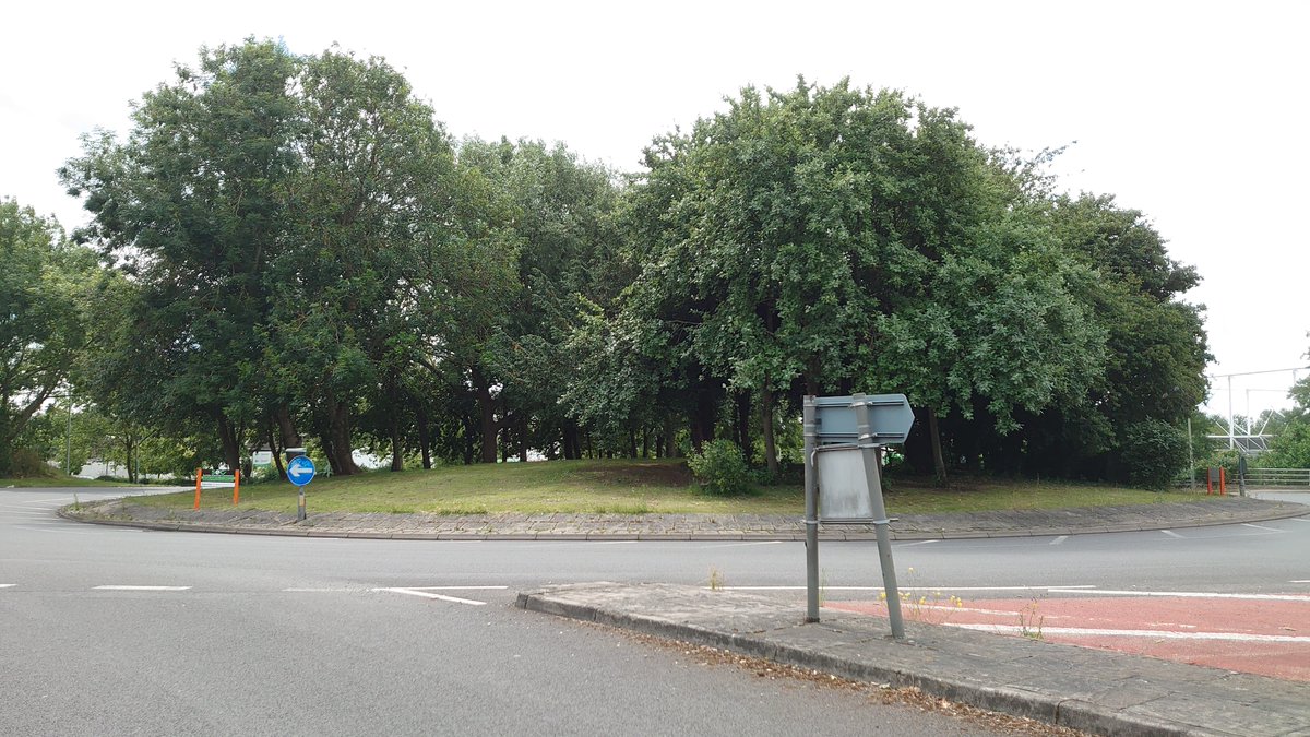 Some mounds are surrounded and retained (protected?) by a stone kerb - I hesitate to use words like 'peristalith' (actually, I didn't, did I) - its presence possibly due to the type of vehicles anticipated. Clearly further analysis needed. Anyway - the megaliths... (9/18)