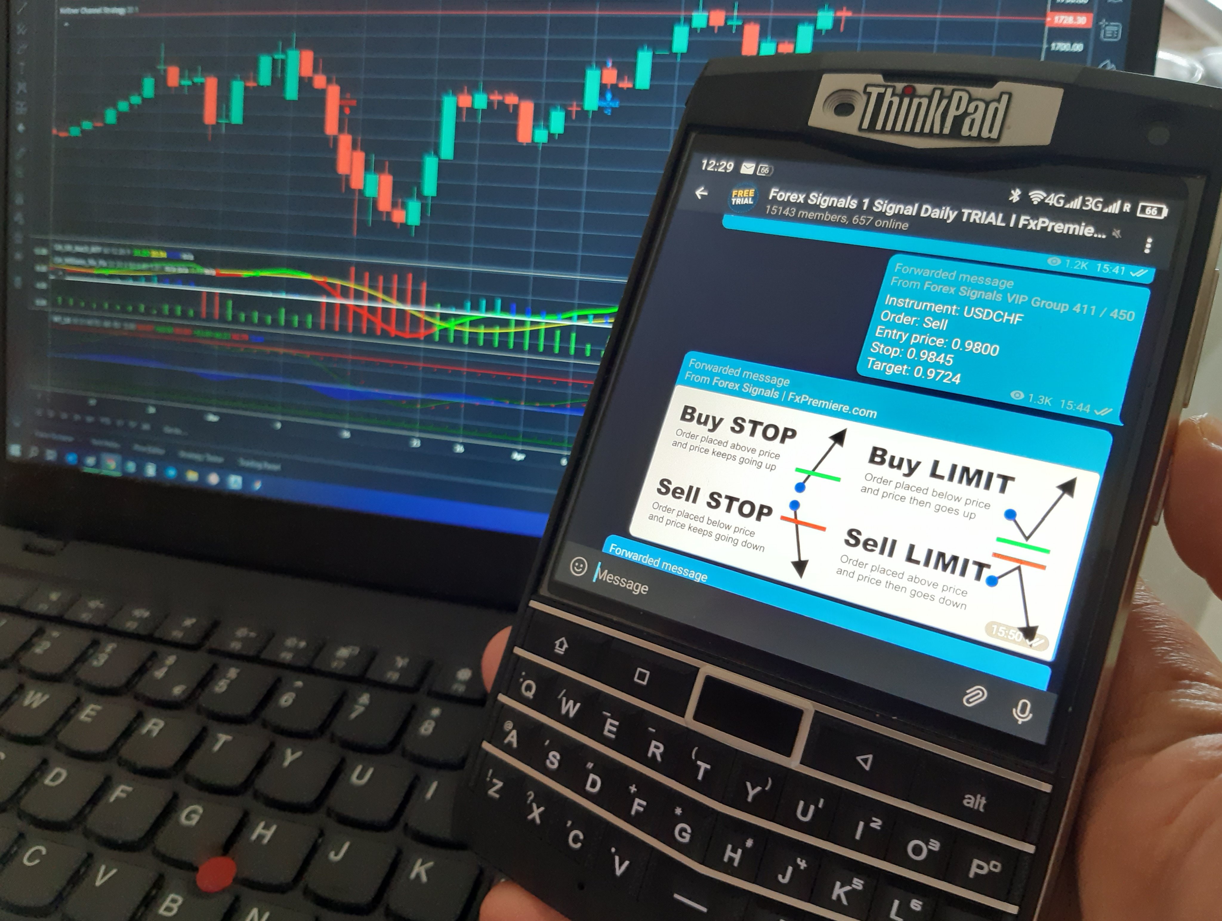 Forex 2024 signals telegram