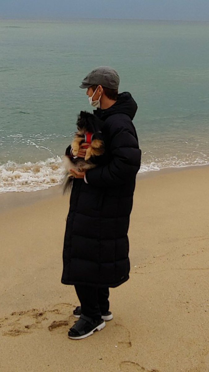 Taehyung taking yeontan out to the beach for his recreational activities... Tan looks so contented with him,,,