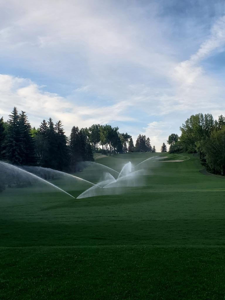 Beautiful morning for watering sod!