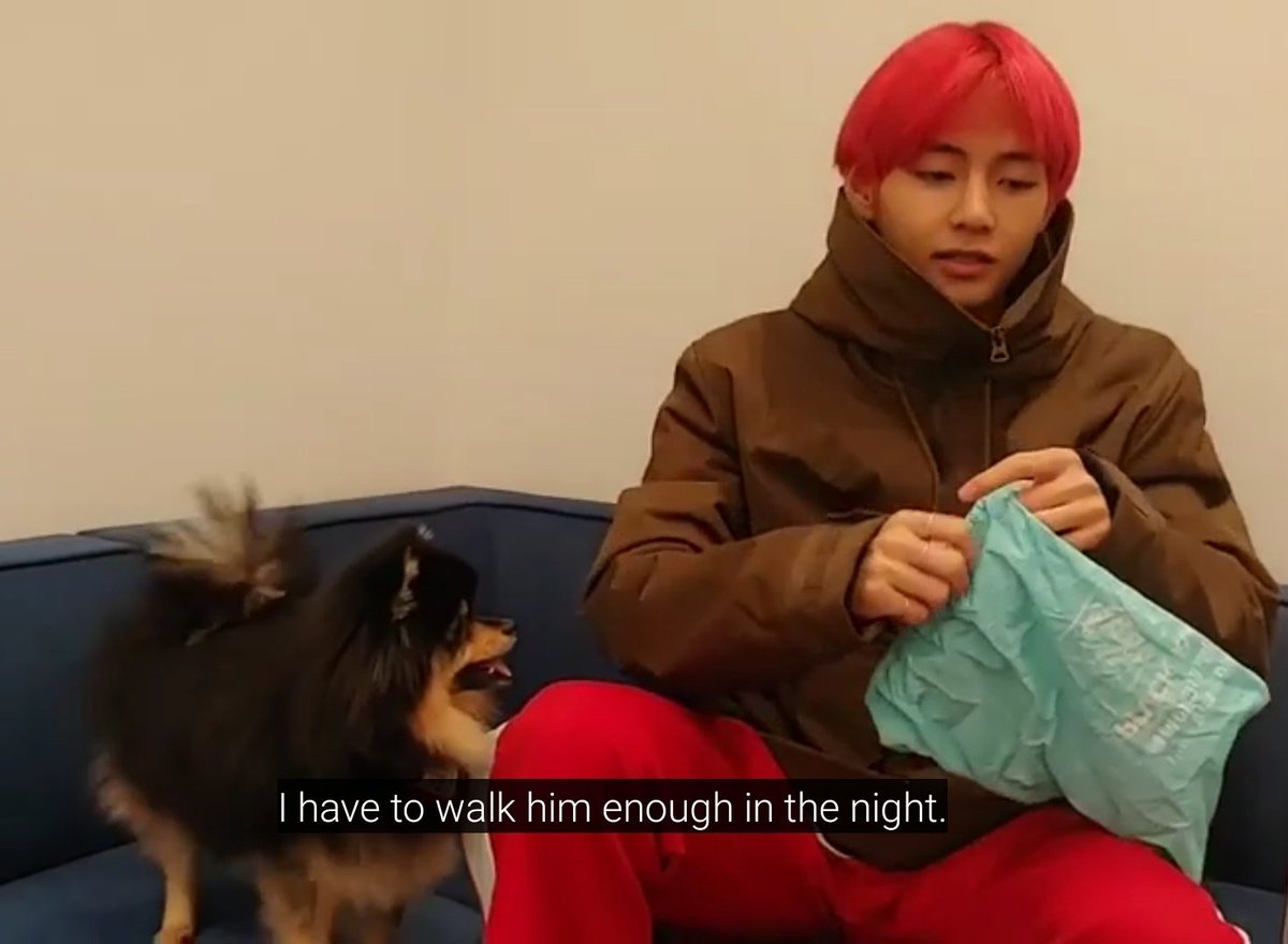 taehyung taking yeontan out to walk at night so that tannie sleeps well overnight 