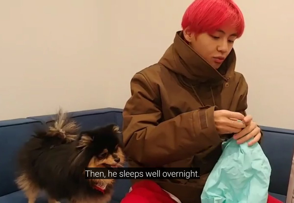 taehyung taking yeontan out to walk at night so that tannie sleeps well overnight 