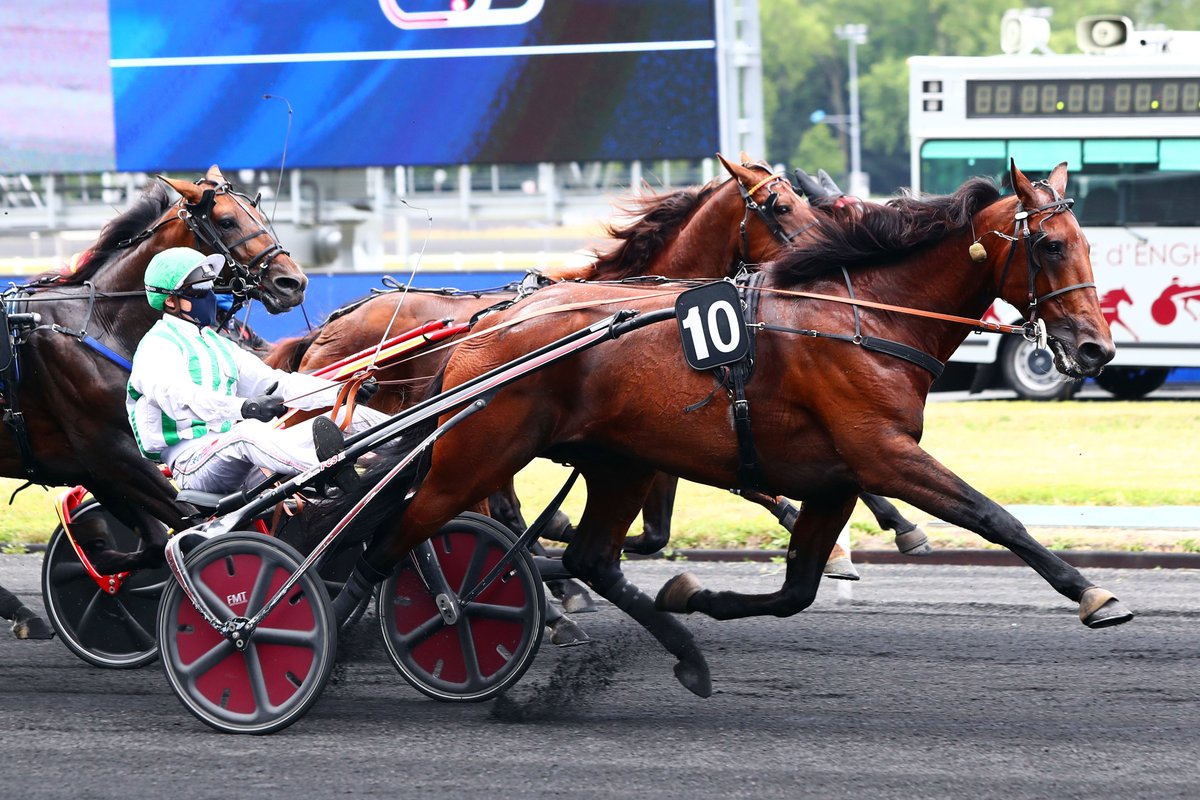 LeTrot's tweet photo. 🎆#JournéeDesChampions 2⃣0⃣2⃣0⃣
🏟@vhpofficiel
🏆Prix Raymond Fouard
🥇Golden Bridge - David Thomain
🥈Gelati Cut - Alexandre Abrivard
🥉Girolamo - Franck Ouvrie
🎥https://t.co/tP9RaCeo1F
📸©@ScoopDyga @HarasBouttemont https://t.co/Ie0kdyzGAm