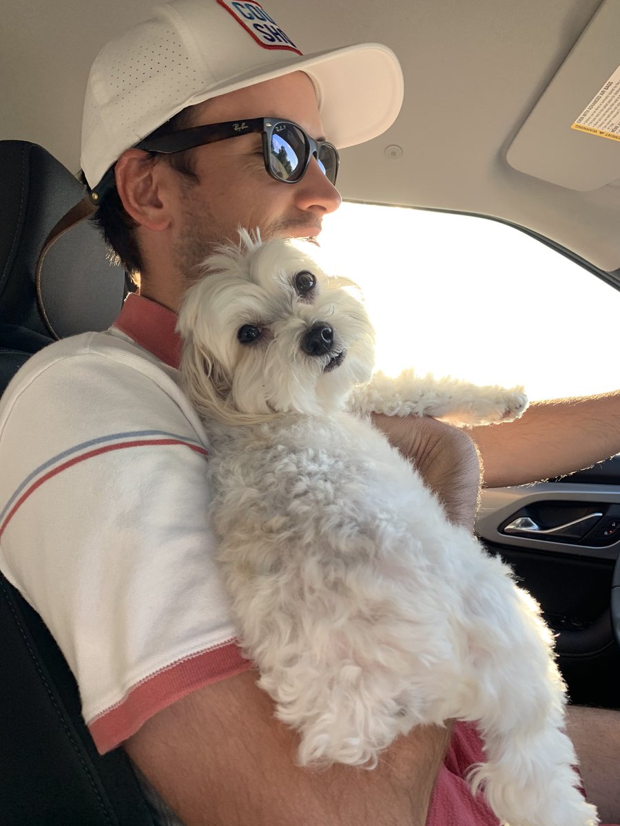 themeganswhite's tweet photo. Happy Father’s Day @evanfwhite! I can’t wait to see you take on your new role this Fall. From dog daddy to baby daddy! 👶🏻💗 You are already an amazing daddy to our girl. We love you so much! #girldad https://t.co/XzH3XJIEPJ