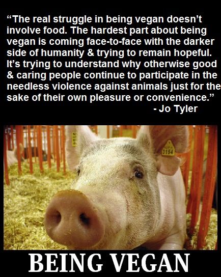 helene_hebbel's tweet photo. @KirrLocc It might only be hard for people who focus on themselves, but very easy for those who focus on the animals. https://t.co/WvlSFHDNz8