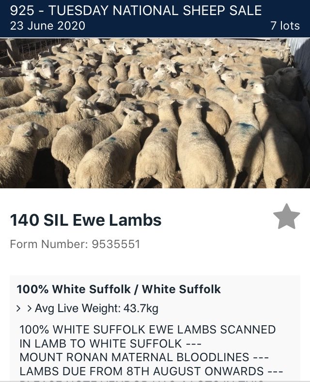 SkinnerClark's tweet photo. @JonoClifton @redbankgrazing https://t.co/bMixmjTMhS