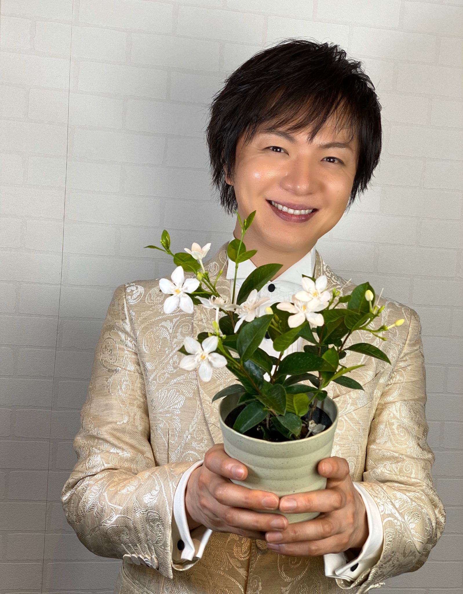 竹島宏スタッフ 公式 セイロンライティア 花言葉は 純潔 清楚 内気の美しさ 純白の花に因んだ花言葉 そんなところが花言葉の おもしろさでもあります 今日も１日お疲れ様でした ひろネット 花言葉 花 Flower ライティア 花を贈