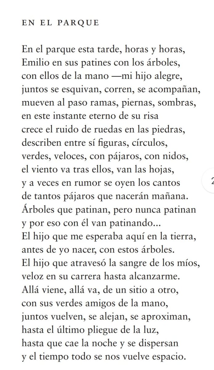 poemasdemontejo's tweet photo. "El hijo que me esperaba aquí en la tierra,
antes de yo nacer, con estos árboles.
El hijo que atravesó la sangre de los míos,
veloz en su carrera hasta alcanzarme.
Allá viene, allá va, de un sitio a otro,
con sus verdes amigos de la mano,
..." https://t.co/phfl23gdvZ