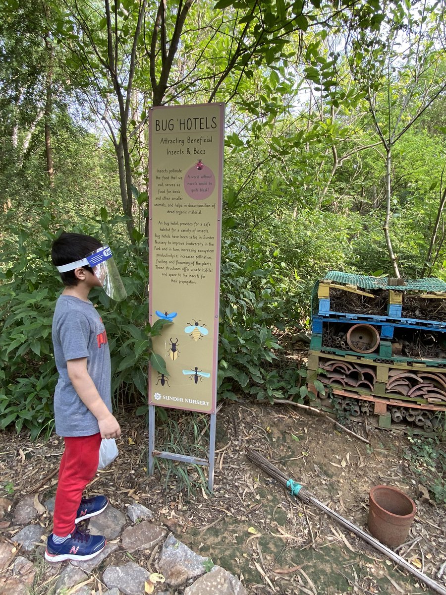 My youngerson Zayd came to SunderNursery with me to collect leaves for his project.Twothings which made him happy were the size of super bigleaves ofTeak/TecktonaGrandis&a beautiful #BugHotel 
Every walk inNature leads us to self discovery,happiness&peace
#StoriesOfTreesOfDelhi