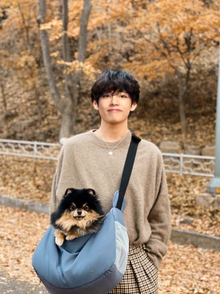 he owns a whole ass bag to carry yeontan in it I'm devastated////