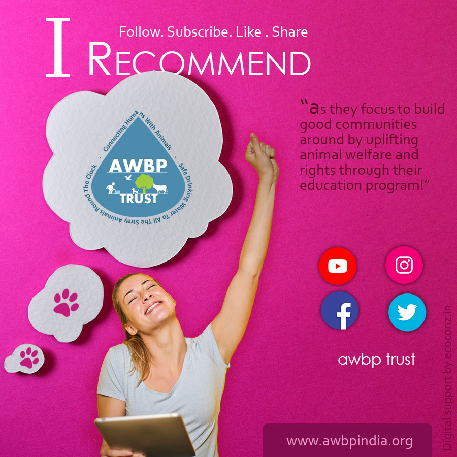 AwbpTrust's tweet photo. I recommend AWBP Trust
.
.
as they focus to build good communities around by uplifting animal welfare and rights through their education program.

Like, follow, subscribe, share @awbptrust

https://t.co/8drOshLSby https://t.co/csmCFZWvso