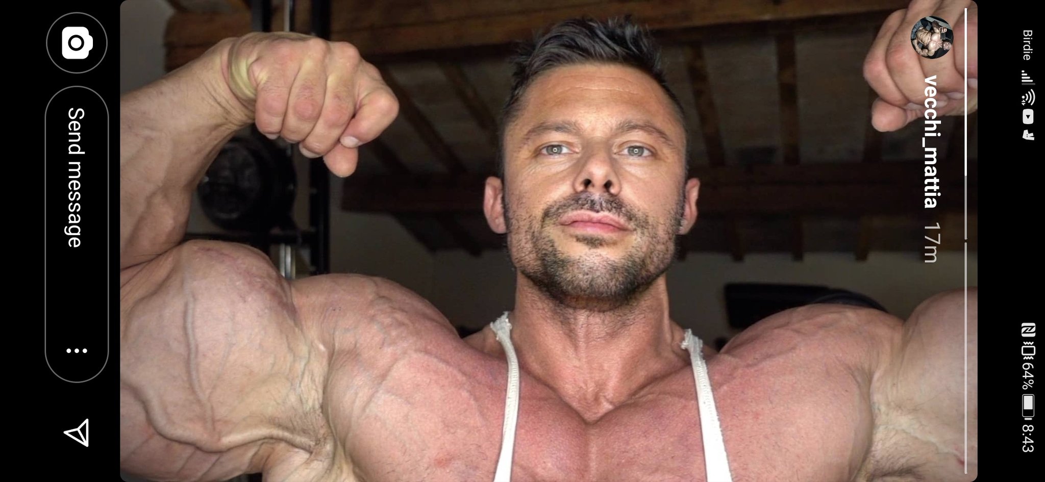 JuicedBodyBuilder on X: Mattia Vecchi is the most handsome roided  bodybuilder t.coCY6L8gT1WH  X