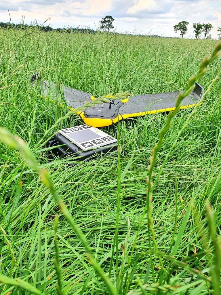 LbThijssen's tweet photo. Op deze vaderdag/zondag toch nog ff aan het werk voor het projectGrass4farming. . Zodat morgen de proefveldjes gemaaid, bemonsteren en gewogen kunnen worden. @WUR @KvernelandGroup @iM_Farming @Hogeschool_VHL #precisiebemesting #precisielandbouw @NationaleProef1 https://t.co/mYJsMwkQ5U