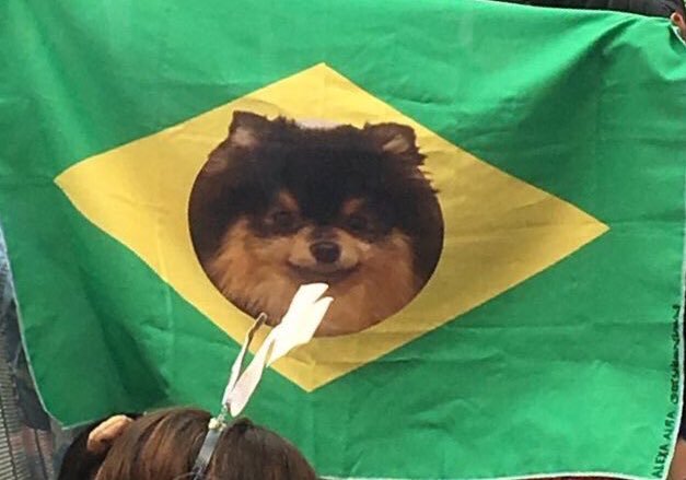 remember when taehyung saw yeontan's pic on Brazilian flag and he had the biggest smile on his face!! everyone knows the key to taehyung's heart is through yeontan