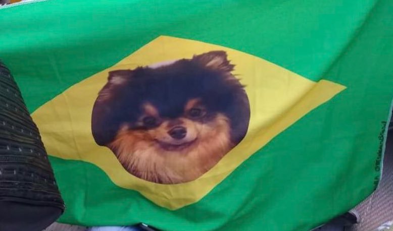 remember when taehyung saw yeontan's pic on Brazilian flag and he had the biggest smile on his face!! everyone knows the key to taehyung's heart is through yeontan