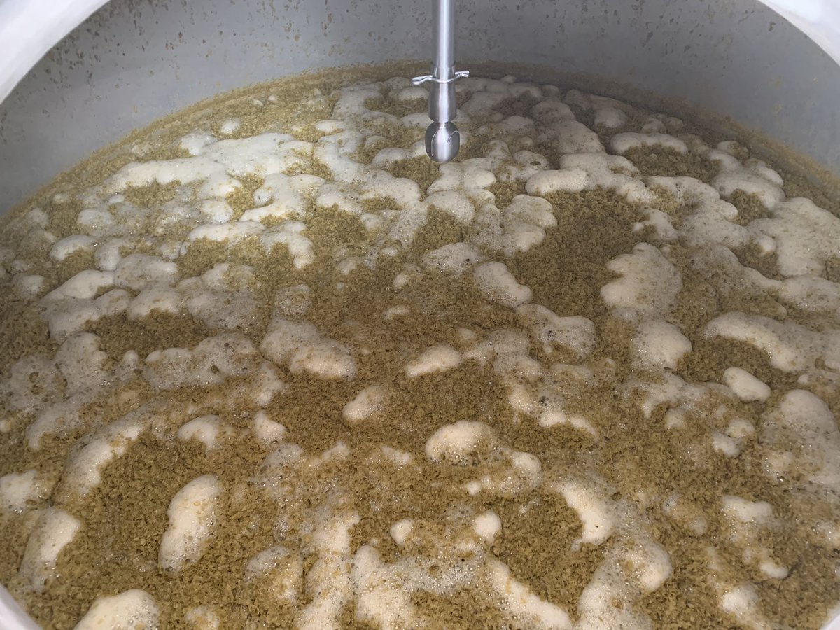 RoundCornerBeer's tweet photo. Steeplechase smelling fantastic today. Check out that dry hop cap. #tropical #steepleforthepeople #hops #dryhop https://t.co/Q6Ob2P3n3S