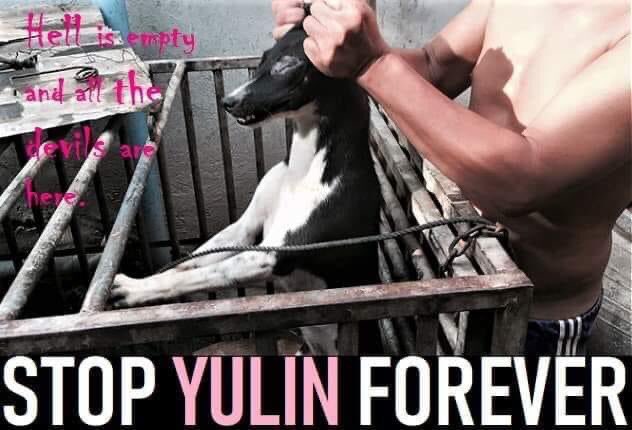 isabel_lanca's tweet photo. #StopYulinForever #StopDogmeat #StopCatMeat https://t.co/yYMUby0t1B
